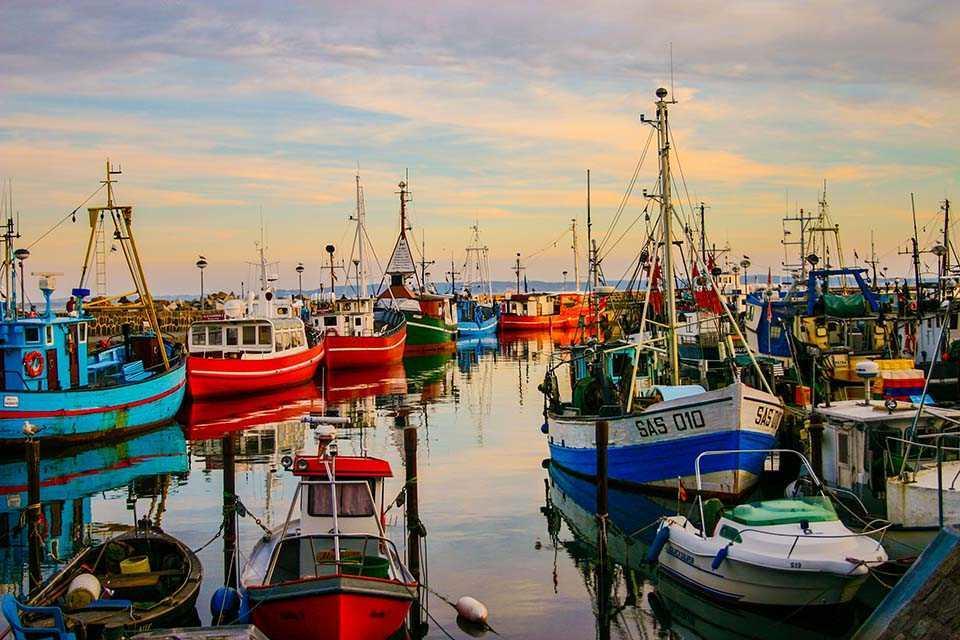 Am Kreidebruch _ Komfort_app Sassnitz